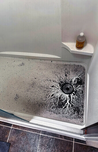 https://blockeddrainsjandakot.com.au/uploads/2025/07/blocked-shower-drains-83587.jpg