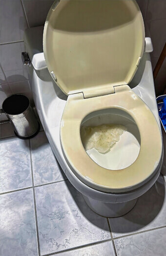 https://blockeddrainsjandakot.com.au/uploads/2025/07/blocked-toilet-27293.jpg